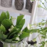 季節の花内容お任せで毎月お届け　¥3,500~