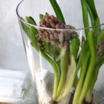 ベースと花をセットでお見繕い致します ¥3,000~