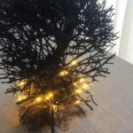 店舗様ディスプレイ