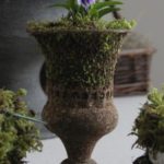 スミレ苗アンティーク仕立て寄せ植えもお作りします ¥3,000~
