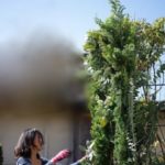 ガーデン会場アーチ作成