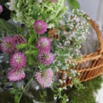 季節の花内容お任せで毎月お届け　¥3,500~